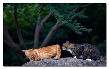 DSC05818_DXO