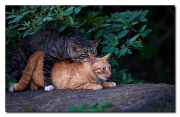 DSC05827_DXO