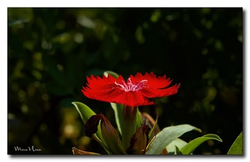 DSC06410_DXO