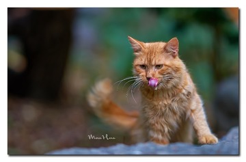 DSC06612_DXO