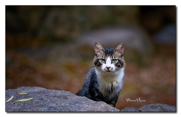 DSC06508_DXO