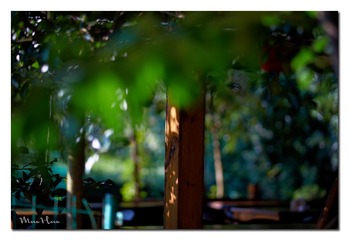 DSC06641_DXO