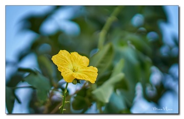 DSC06679_DXO