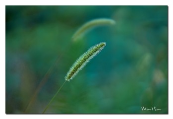 DSC06681_DXO
