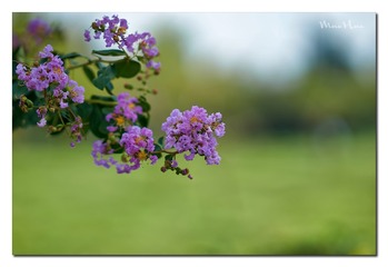 DSC06689_DXO