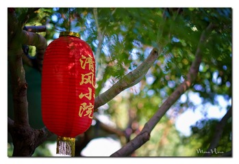 DSC06655_DXO