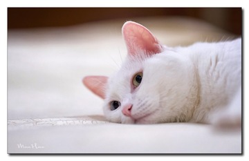 DSC00200_DXO