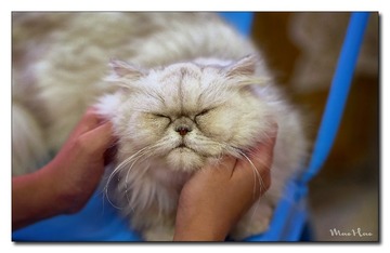 DSC00255_DXO