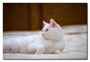 DSC00440_DXO