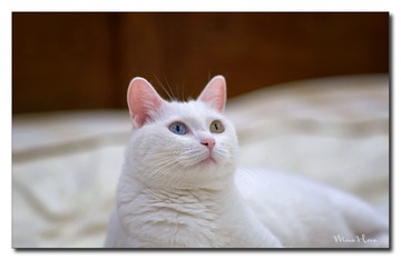 DSC00429_DXO