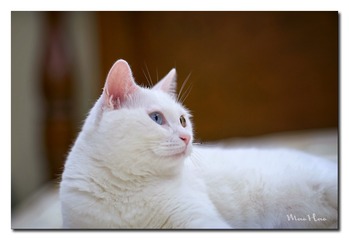 DSC00423_DXO
