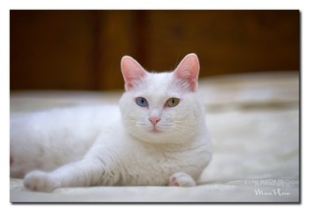 DSC00436_DXO