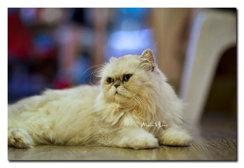 DSC00221_DXO