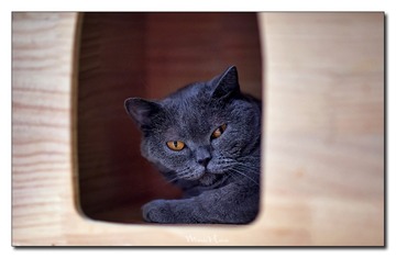 DSC00235_DXO