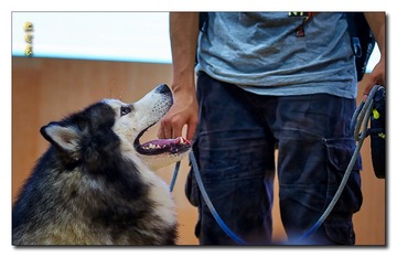 DSC06917_DXO
