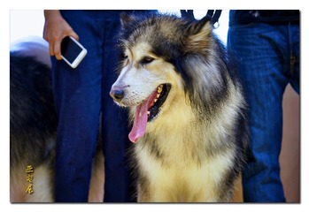 DSC06927_DXO