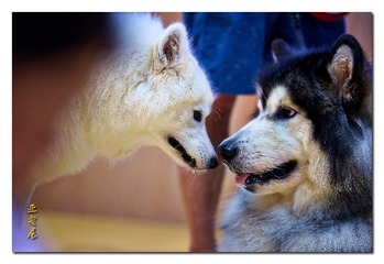 DSC06940_DXO (复制)