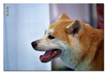 DSC06985_DXO (复制)
