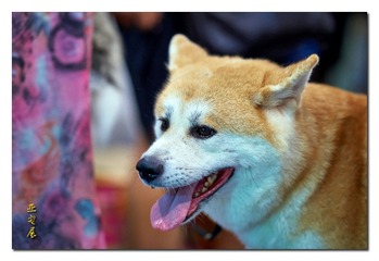 DSC06990_DXO (复制)