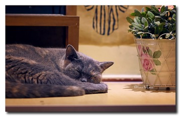 DSC00242_DXO