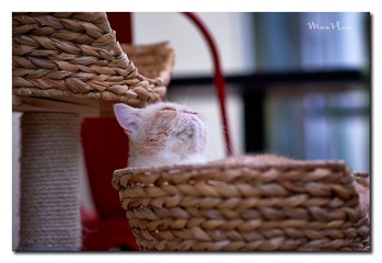 DSC00349_DXO
