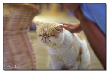 DSC00372_DXO