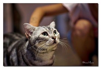 DSC00393_DXO