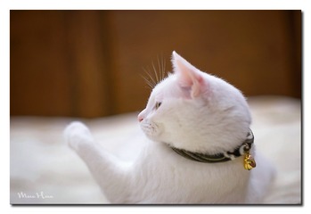 DSC00478_DXO