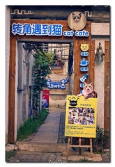 DSC00205_DXO