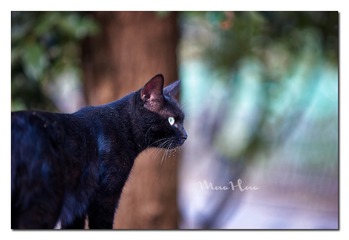 DSC07319_DXO