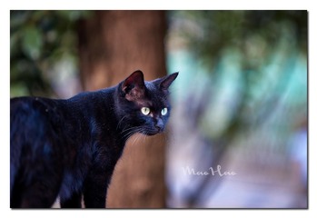 DSC07321_DXO