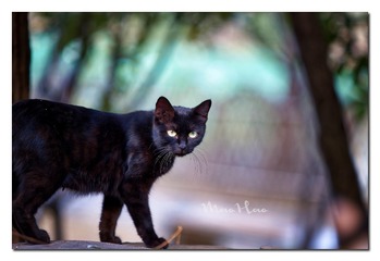 DSC07323_DXO