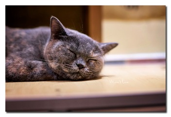 DSC00210_DXO
