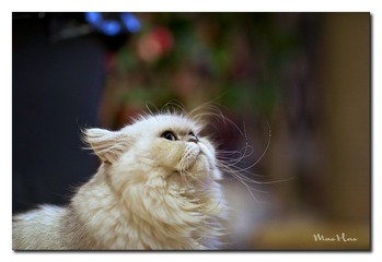 DSC00218_DXO