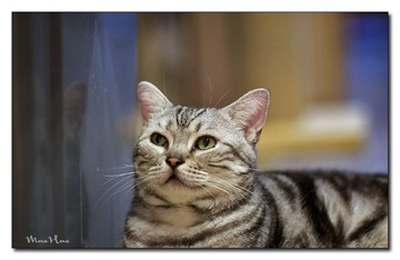 DSC00361_DXO