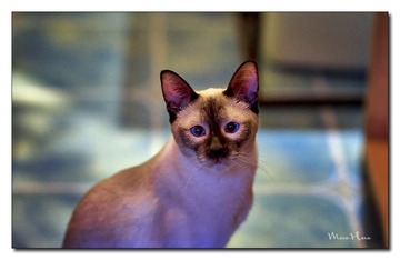 DSC00375_DXO