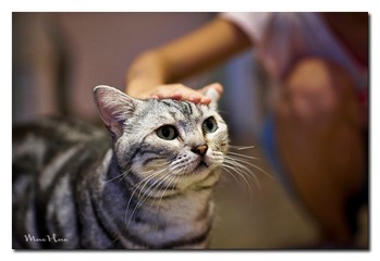 DSC00392_DXO