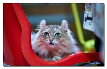 DSC00535_DXO