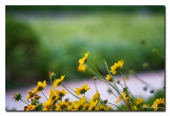 DSC09328_DXO