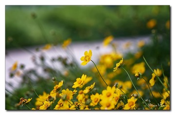 DSC09330_DXO