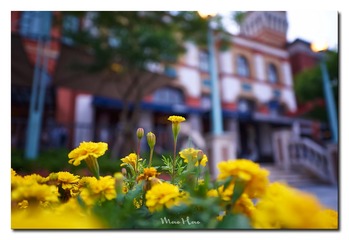 DSC09344_DXO