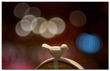 DSC07615_DXO