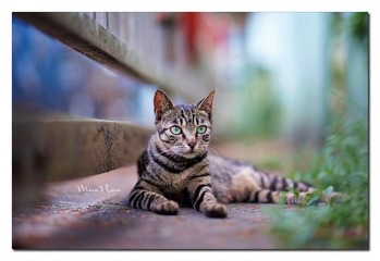 DSC06793_DXO