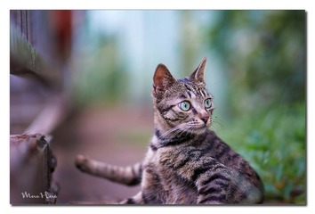 DSC06805_DXO