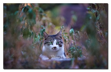 DSC07285_DXO