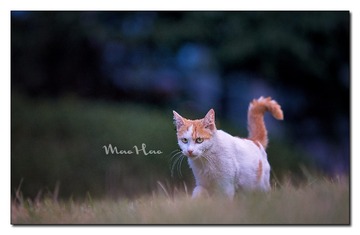 DSC07376_DXO
