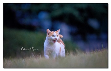 DSC07379_DXO