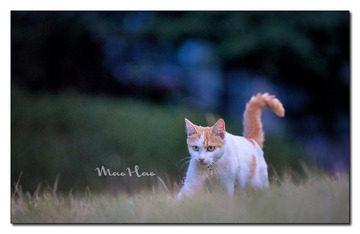 DSC07380_DXO