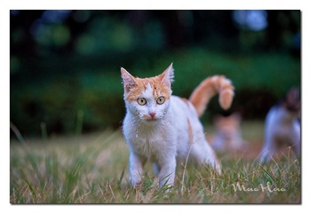 DSC07388_DXO