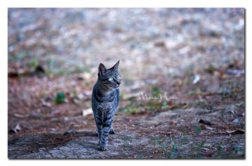 DSC07348_DXO
